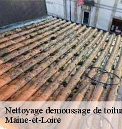 Nettoyage demoussage de toiture Maine-et-Loire 