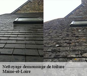 Nettoyage demoussage de toiture Maine-et-Loire 