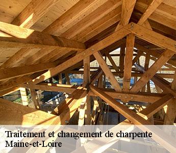 Traitement et changement de charpente Maine-et-Loire 