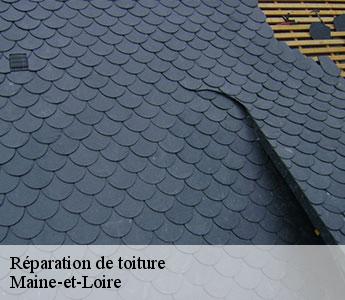 Réparation de toiture Maine-et-Loire