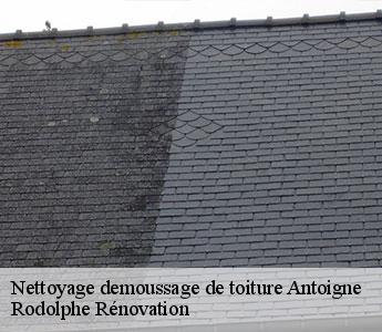 Nettoyage demoussage de toiture  antoigne-49260 Rodolphe Rénovation