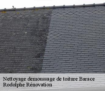 Nettoyage demoussage de toiture  barace-49430 Rodolphe Rénovation