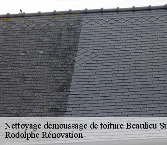 Nettoyage demoussage de toiture beaulieu-sur-layon-49750 Rodolphe Rénovation