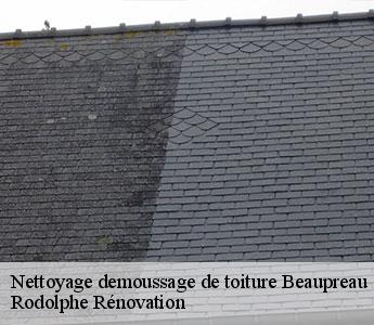 Nettoyage demoussage de toiture  beaupreau-49600 Rodolphe Rénovation