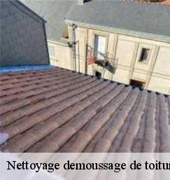 Nettoyage demoussage de toiture