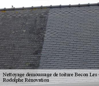 Nettoyage demoussage de toiture  becon-les-granits-49370 Rodolphe Rénovation