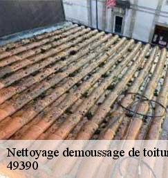 Nettoyage demoussage de toiture  49390