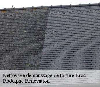 Nettoyage demoussage de toiture  broc-49490 Rodolphe Rénovation