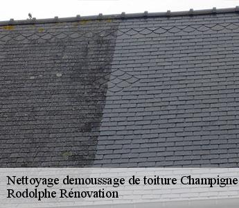 Nettoyage demoussage de toiture champigne-49330 Rodolphe Rénovation