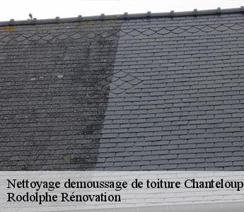Nettoyage demoussage de toiture  chanteloup-les-bois-49340 Rodolphe Rénovation