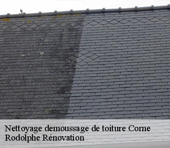 Nettoyage demoussage de toiture corne-49250 Rodolphe Rénovation