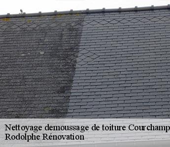 Nettoyage demoussage de toiture courchamps-49260 Rodolphe Rénovation
