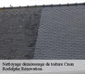 Nettoyage demoussage de toiture  cuon-49150 Rodolphe Rénovation