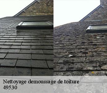 Nettoyage demoussage de toiture  49530