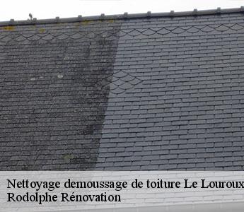Nettoyage demoussage de toiture  le-louroux-beconnais-49370 Rodolphe Rénovation