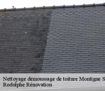 Nettoyage demoussage de toiture  montigne-sur-moine-49230 Rodolphe Rénovation