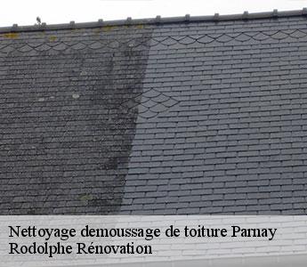 Nettoyage demoussage de toiture  parnay-49730 Rodolphe Rénovation