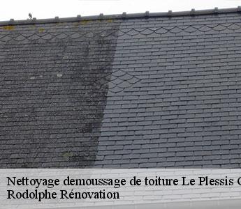 Nettoyage demoussage de toiture le-plessis-grammoire-49124 Rodolphe Rénovation