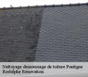 Nettoyage demoussage de toiture  pontigne-49150 Rodolphe Rénovation