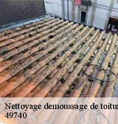 Nettoyage demoussage de toiture  49740