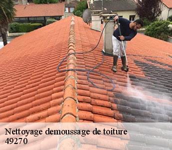 Nettoyage demoussage de toiture 49270