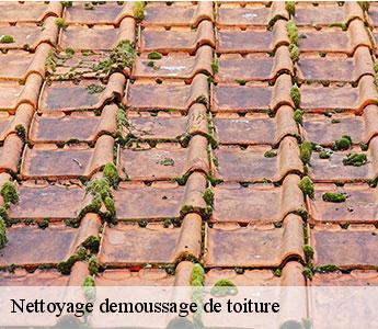 Nettoyage demoussage de toiture