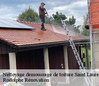 Nettoyage demoussage de toiture saint-laurent-des-autels-49270 Rodolphe Rénovation