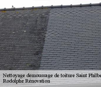 Nettoyage demoussage de toiture saint-philbert-du-peuple-49160 Rodolphe Rénovation