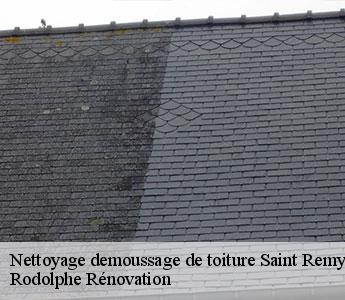 Nettoyage demoussage de toiture saint-remy-en-mauges-49110 Rodolphe Rénovation