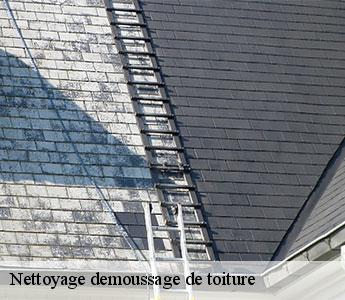 Nettoyage demoussage de toiture