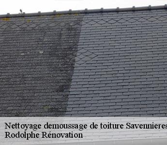 Nettoyage demoussage de toiture savennieres-49170 Rodolphe Rénovation