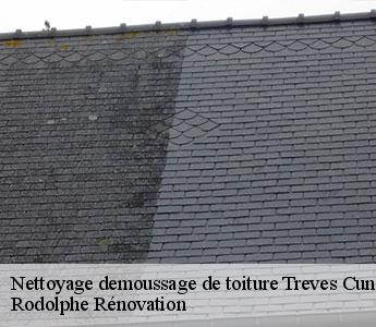 Nettoyage demoussage de toiture treves-cunault-49350 Rodolphe Rénovation