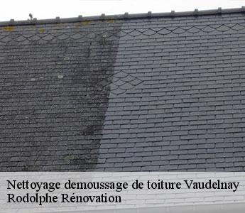 Nettoyage demoussage de toiture  vaudelnay-49260 Rodolphe Rénovation