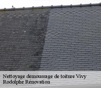 Nettoyage demoussage de toiture  vivy-49680 Rodolphe Rénovation
