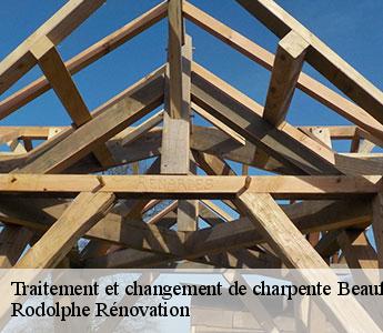 Traitement et changement de charpente  beaufort-en-vallee-49250 Rodolphe Rénovation