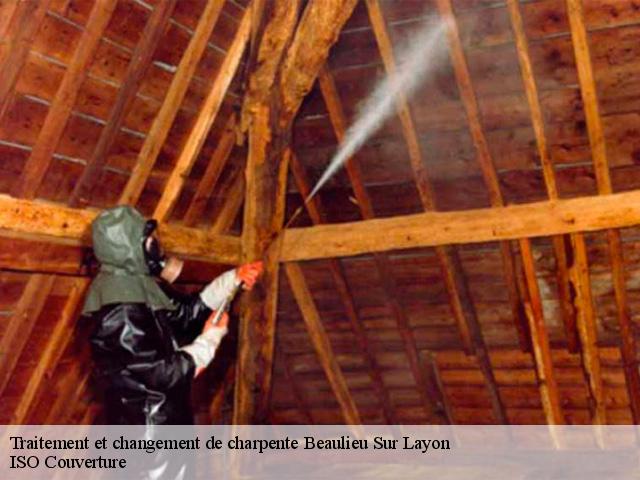 Traitement et changement de charpente beaulieu-sur-layon-49750 TOUTAIN Tony Couvreur 49