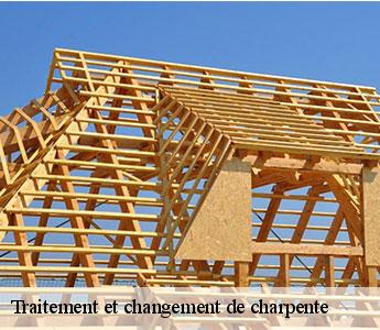 Traitement et changement de charpente