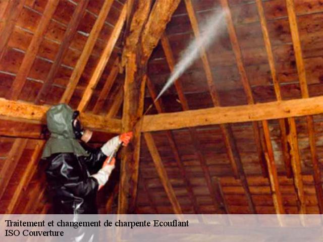Traitement et changement de charpente ecouflant-49000 ISO Couverture