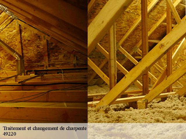 Traitement et changement de charpente 49220