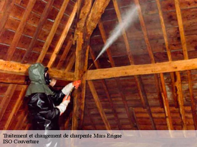 Traitement et changement de charpente murs-erigne-49130 TOUTAIN Tony Couvreur 49