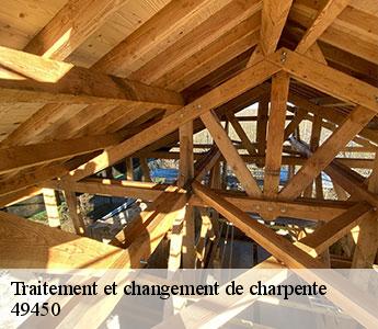 Traitement et changement de charpente 49450