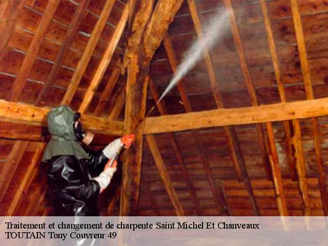 Traitement et changement de charpente  saint-michel-et-chanveaux-49420 TOUTAIN Tony Couvreur 49