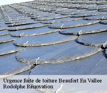 Urgence fuite de toiture  beaufort-en-vallee-49250 Rodolphe Rénovation