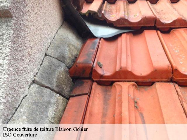 Urgence fuite de toiture  blaison-gohier-49320 TOUTAIN Tony Couvreur 49