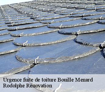 Urgence fuite de toiture  bouille-menard-49520 Rodolphe Rénovation