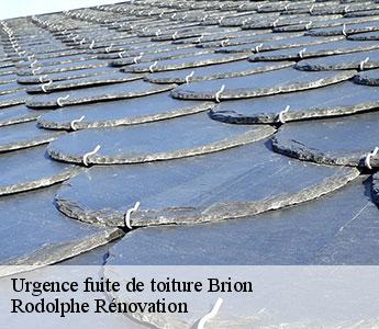 Urgence fuite de toiture  brion-49250 Rodolphe Rénovation