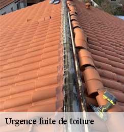Urgence fuite de toiture