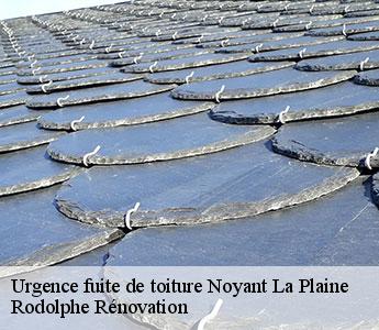 Urgence fuite de toiture  noyant-la-plaine-49700 Rodolphe Rénovation