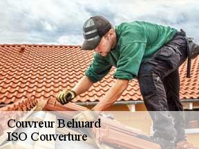 Couvreur behuard-49170 TOUTAIN Tony Couvreur 49