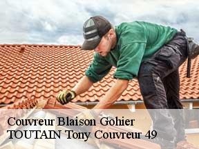 Couvreur  blaison-gohier-49320 TOUTAIN Tony Couvreur 49